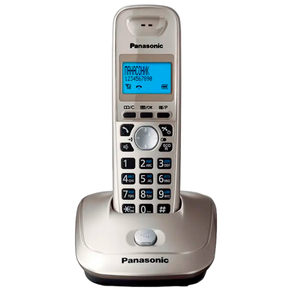 Dect Phone Panasonic KX-TG2511UAN Серый  photo 2