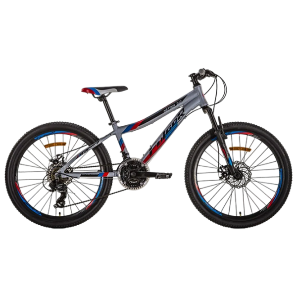 Bicicletă Fulger Neptun 24 24" 12.5" Gray Blue Aluminiu /  photo 1