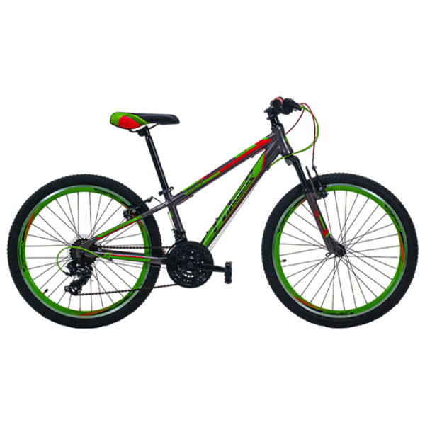 Bicicletă Fulger Apollo 24 24" 12" Gray Green Aluminiu / Pentru copii photo 1