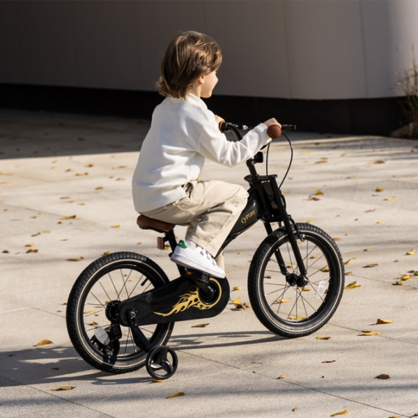 Bicicletă Qplay Motor 3in1 14 14" Black Gold Metal / Pentru copii photo 5