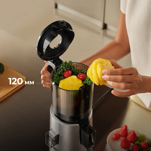 Соковыжималка Mova SJ10 Серебряный 200 Вт, Шнековая, Количество скоростей: 2 photo 8