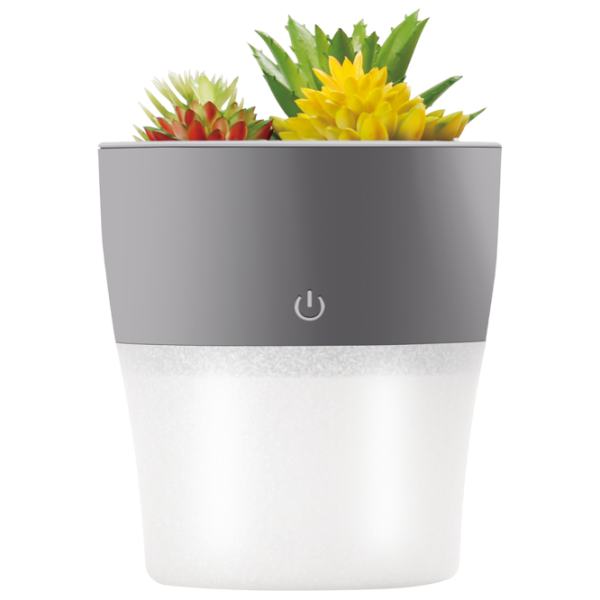 Umidificator de aer Setty NP-18 Gray  photo 1