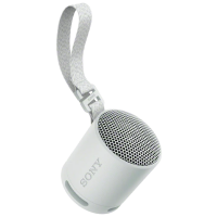 Портативная колонка Sony SRS-XB100 Светло Серый 