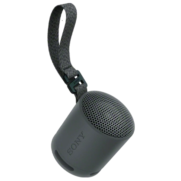 Boxă portabilă Sony SRS-XB100 Black  photo 1