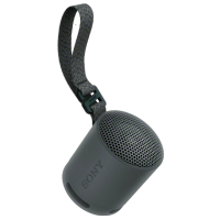 Портативная колонка Sony SRS-XB100 Черный 