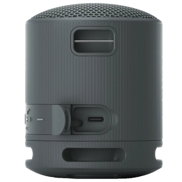 Boxă portabilă Sony SRS-XB100 Black  photo 4