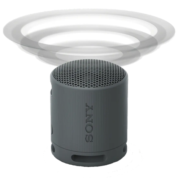 Boxă portabilă Sony SRS-XB100 Black  photo 7