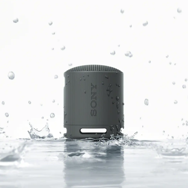 Boxă portabilă Sony SRS-XB100 Black  photo 8