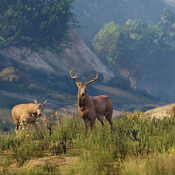  GTA V PlayStation 5 Action / 18+ photo 4