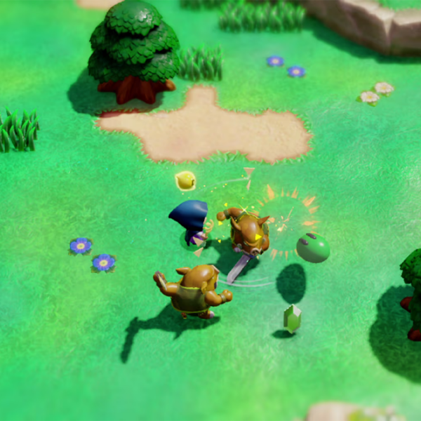 The Legend of Zelda Echoes Of Wisdom Nintendo Switch Adventure / 7+ photo 9
