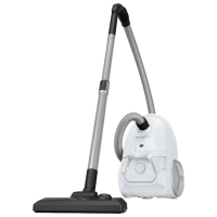 Aspirator Rowenta RO3927EA White  | Uscată | Sac | 3 l