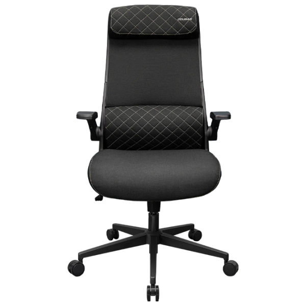 Scaun Gaming Cougar Stryder 3MSTDBLB.0001 Black Gray  photo 1