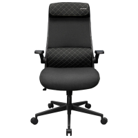 Scaun Gaming Cougar Stryder 3MSTDBLB.0001 Black Gray 