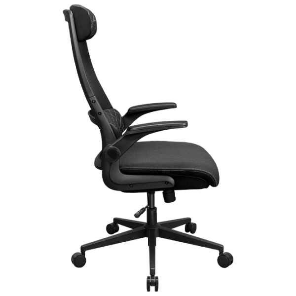 Scaun Gaming Cougar Stryder 3MSTDBLB.0001 Black Gray  photo 4