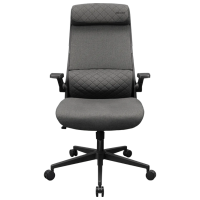 Scaun Gaming Cougar Stryder 3MSTDGRB.0001 Gray Black 