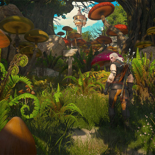 The Witcher 3 3: Wild Hunt - Complete Edition Xbox Series X RPG / 18+ photo 10