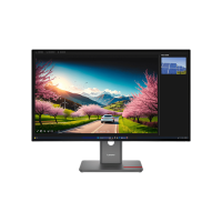 Monitor Lenovo ThinkVision P32UD-40 Black 32" 4K IPS WLED