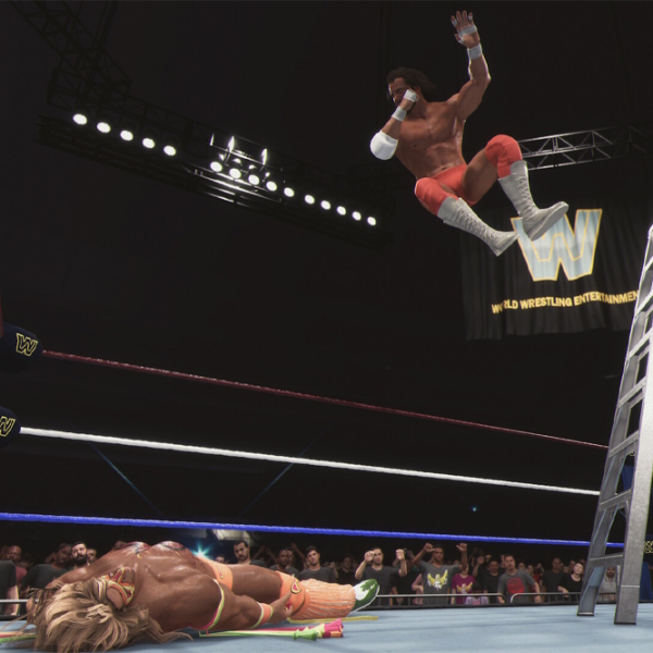 WWE 2K25 Nintendo Switch 2 Fighting / 16+ photo 6