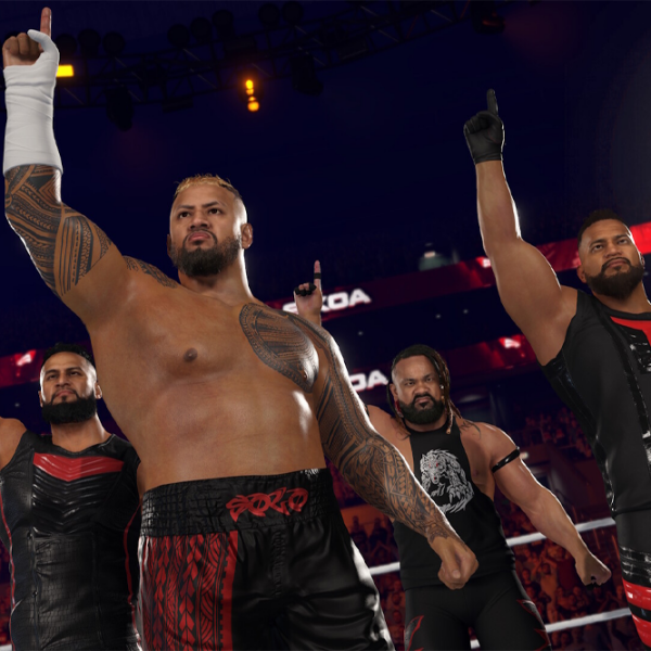 WWE 2K25 Nintendo Switch 2 Fighting / 16+ photo 9