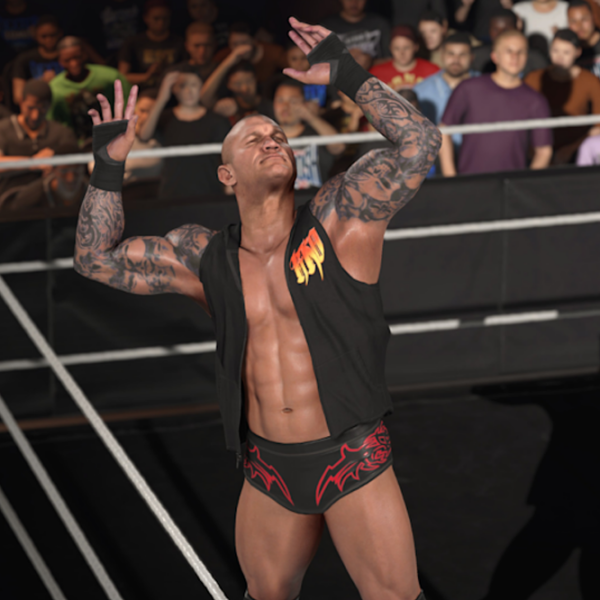 WWE 2K26 Nintendo Switch 2 Fighting / 16+ photo 10