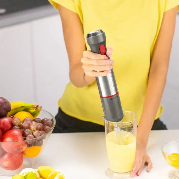Blender de mână ZELMER ZHB4650 Gray  photo 5