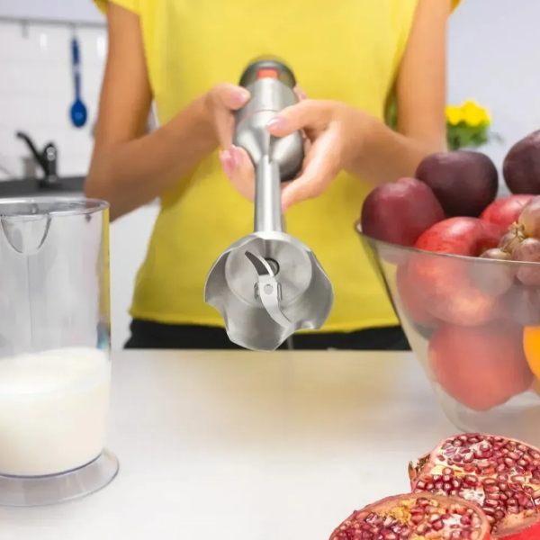 Blender de mână ZELMER ZHB4650 Gray  photo 6