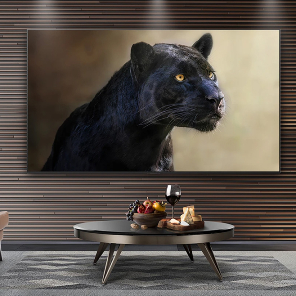 Televizor LG OLED77G64LW Galery Edition Smart TV 4K Black 77" | OLED | 4K photo 4