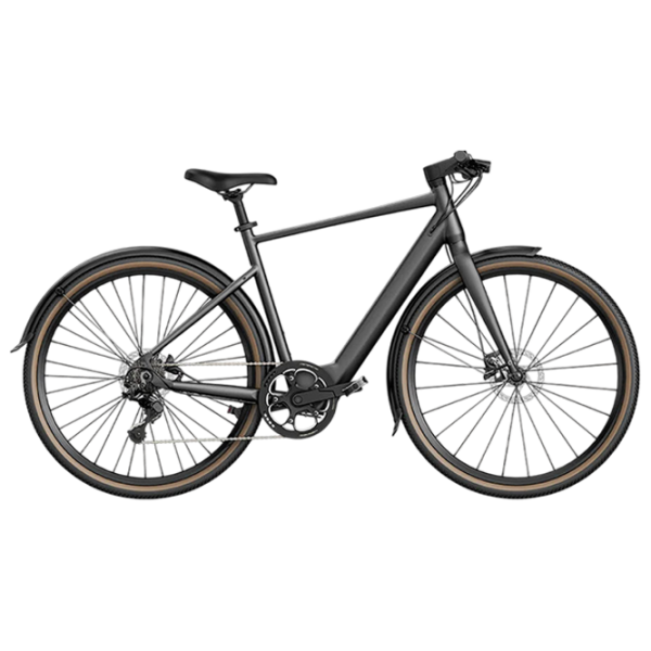 Электровелосипед FIIDO C21 Серый 28" | 250 Вт | до 100 км photo 1