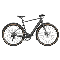 Электровелосипед FIIDO C21 Серый 28" | 250 Вт | до 100 км