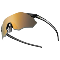 Ochelari de soare Rockbros Polarized Cycling Sunglasses Auriu Black Auriu Black