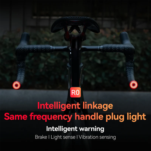 Set lumina pentru bicicletă Rockbros R0 Tail Light Brake sensor Red Black Red Black photo 3