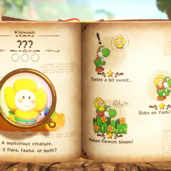 Yoshi And The Mysterious Book Nintendo Switch 2 Platformer / 6+ photo 7