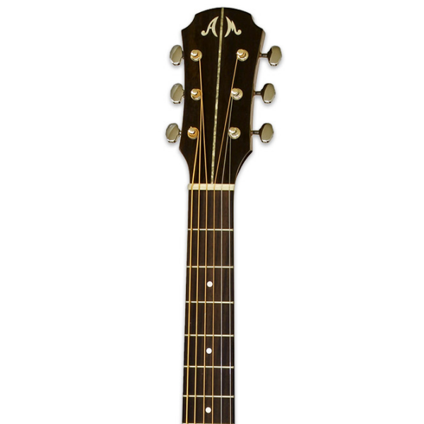 Chitară electro-acustică Aria MSG-02CE Natural Dreadnought, 4/4 photo 4