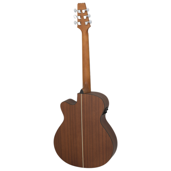 Chitară electro-acustică Aria AF-10CE Matte Natural Folk, 4/4 photo 3
