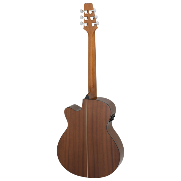 Chitară electro-acustică Aria AF-10CE Natural Folk, 4/4 photo 2