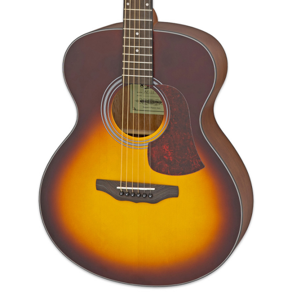 Chitară acustică Aria AF-10 Matte Tobacco Sunburst Jumbo, 4/4 photo 3