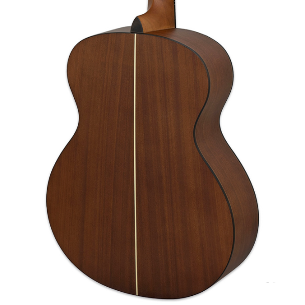 Chitară acustică Aria AF-10 Matte Tobacco Sunburst Jumbo, 4/4 photo 4