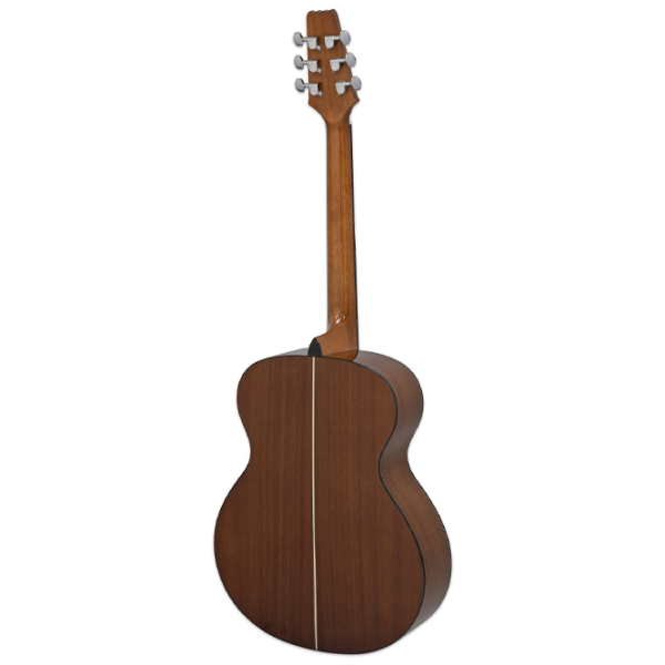 Chitară acustică Aria AF-10 Tobacco Brown Sunburst Jumbo, 4/4 photo 2