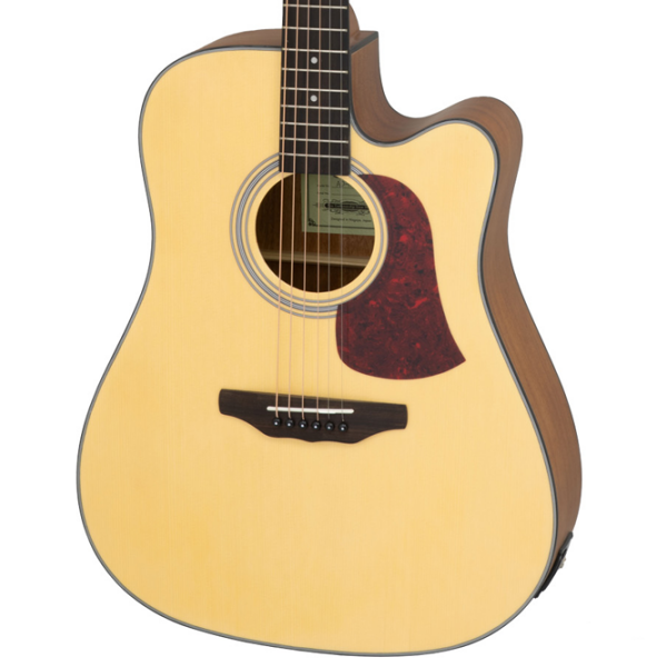 Chitară electro-acustică Aria AD-10CE Matte Natural Dreadnought, 4/4 photo 2