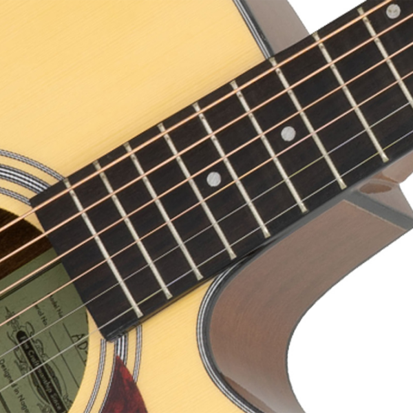 Chitară electro-acustică Aria AD-10CE Natural Dreadnought, 4/4 photo 9
