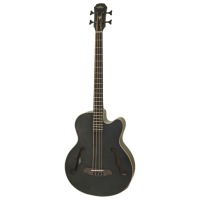 Chitară bas electroacustică Aria FEB-F2M STBK Black Jumbo, 4/4