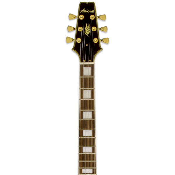 Chitară electrică ARIA Pro II PE-350 CST
Aged Black , 4/4 photo 5