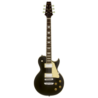 Chitară electrică ARIA Pro II PE-350 STD
Aged Black , 4/4