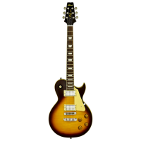 Chitară electrică ARIA Pro II PE-590 STD
Aged Tobacco Sunburst , 4/4