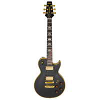 Chitară electrică ARIA Pro II PE-F80
Black , 4/4