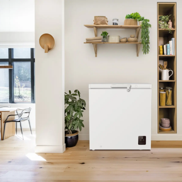 Морозильный ларь Gorenje FH20E6W5 Белый 198л, E, Механическое photo 7