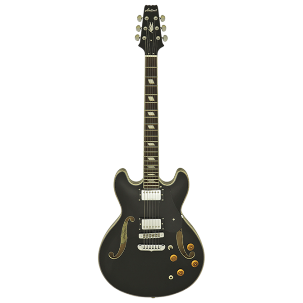 Chitară electrică ARIA Pro II TA-CLASSIC
Black , 4/4 photo 1