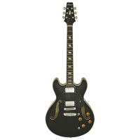 Chitară electrică ARIA Pro II TA-CLASSIC
Black , 4/4