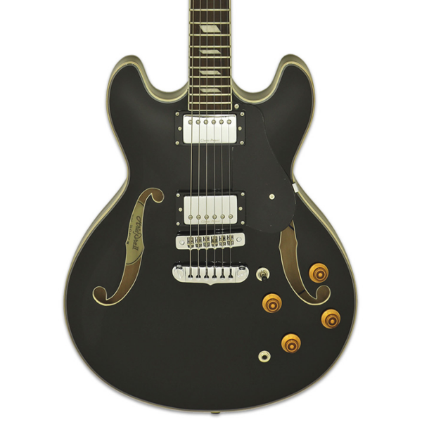 Chitară electrică ARIA Pro II TA-CLASSIC
Black , 4/4 photo 2