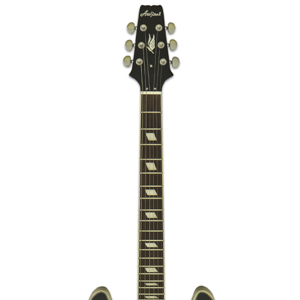 Chitară electrică ARIA Pro II TA-CLASSIC
Black , 4/4 photo 5